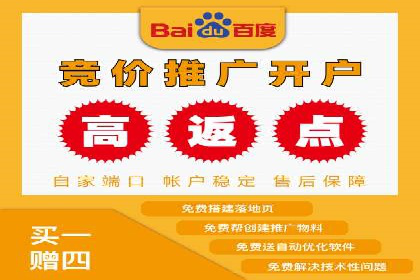 竞价推广成功案例解析